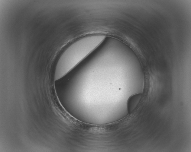 X0000081320354200701111034