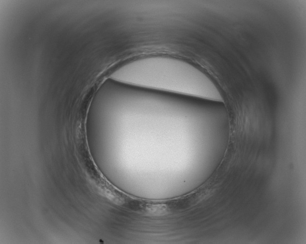 X0000081320355200701111034