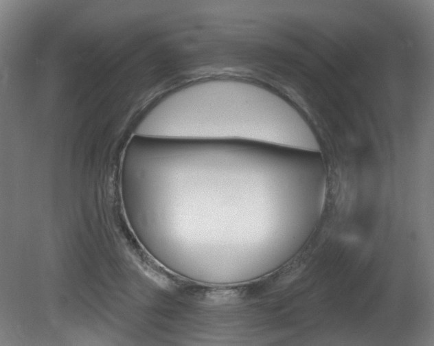 X0000081320357200701111034