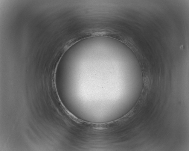X0000081320360200701111035