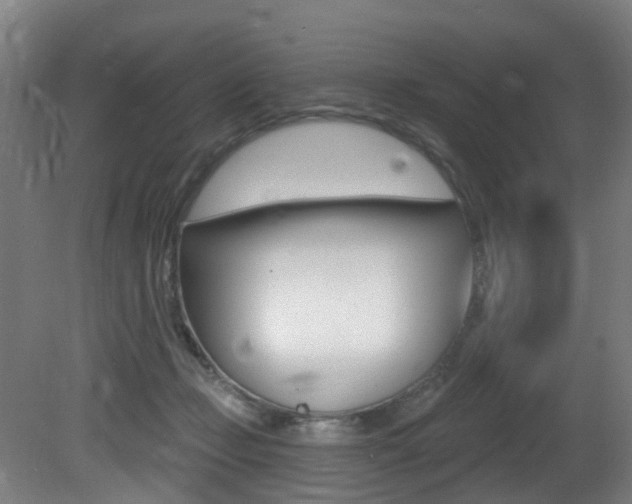 X0000081320365200701111035
