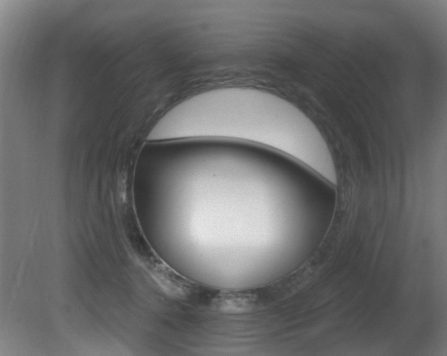 X0000081320368200701111035