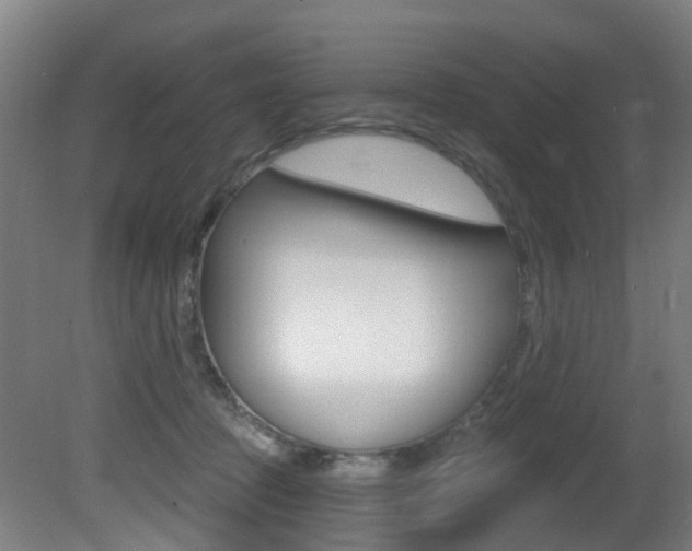 X0000081320369200701111035