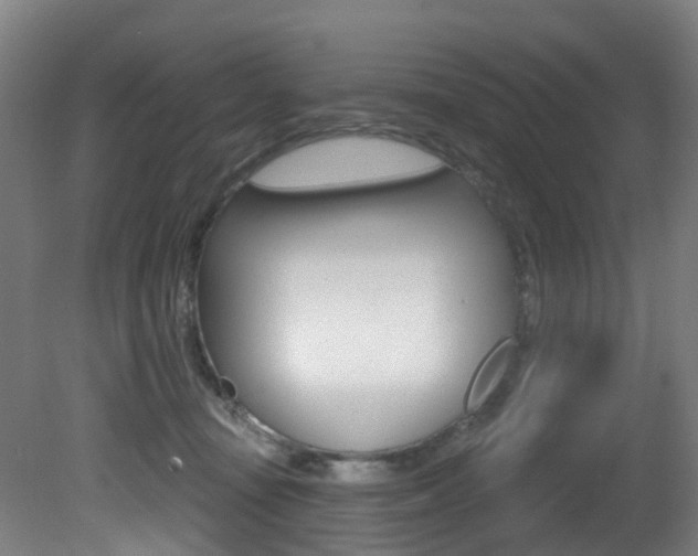 X0000081320371200701111035