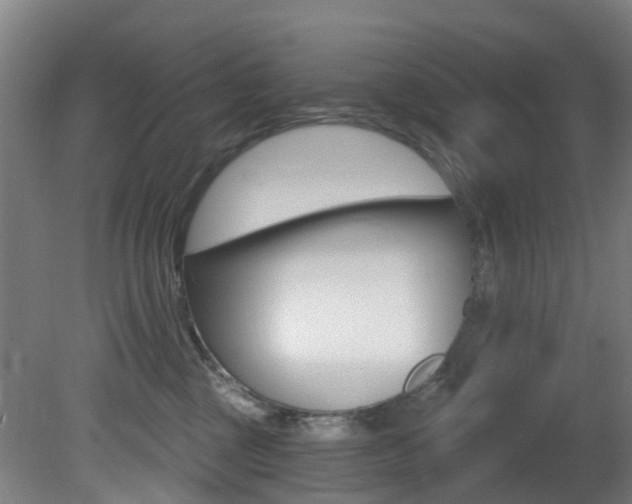 X0000081320377200701111035