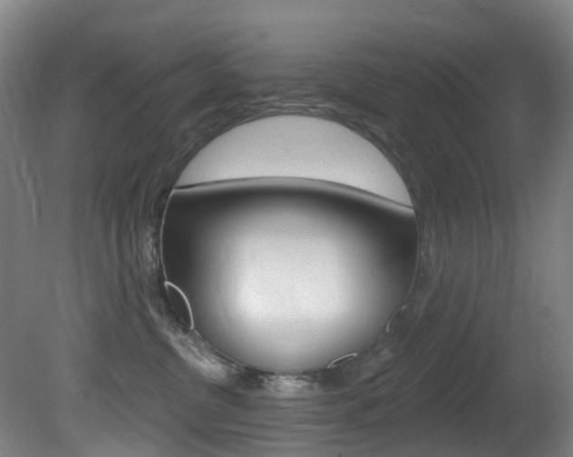 X0000081320380200701111035