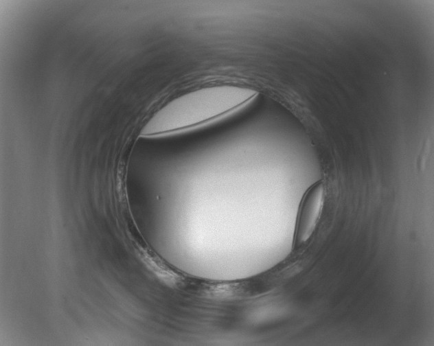 X0000081320382200701111035