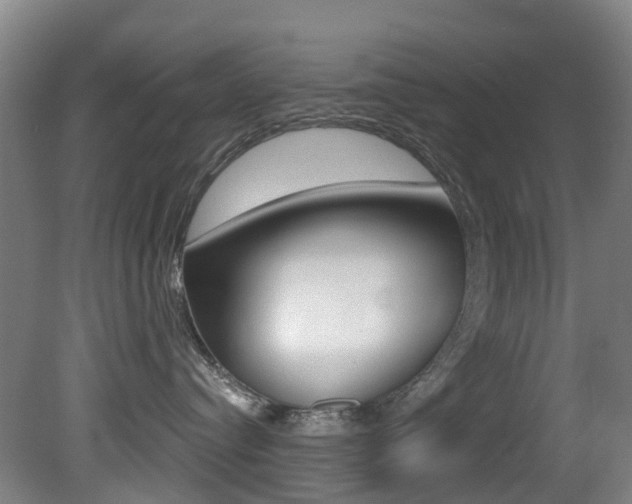 X0000081320384200701111035