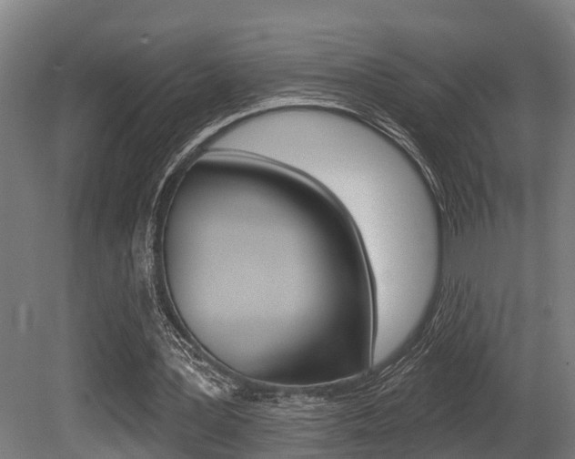 X0000081320387200701111034