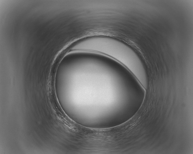 X0000081320388200701111034
