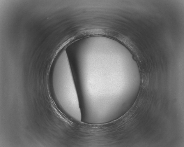 X0000081320390200701111034