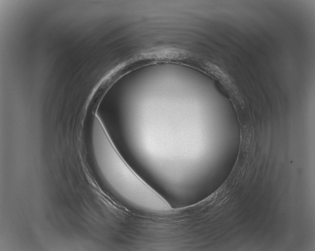 X0000081320392200701111034