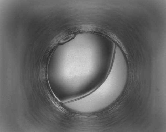 X0000081320393200701111034