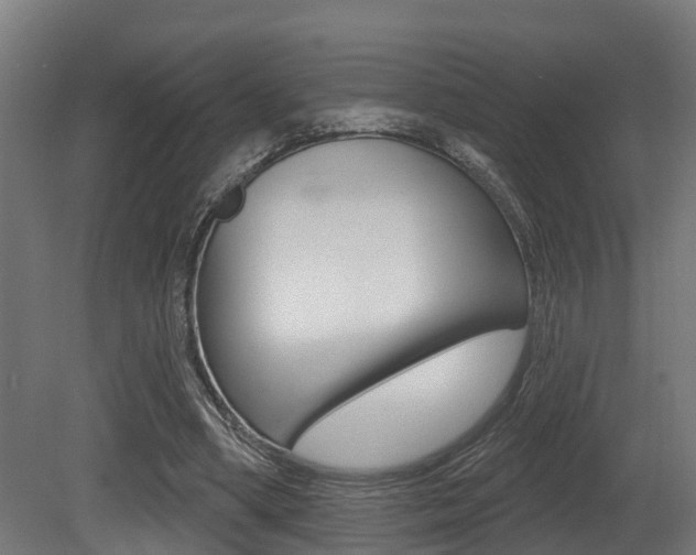 X0000081320394200701111034