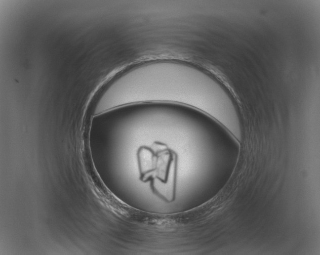 X0000081320395200701111034