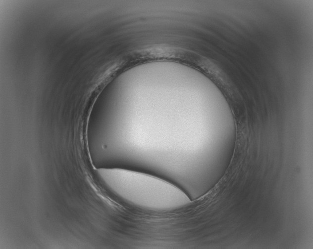 X0000081320398200701111034