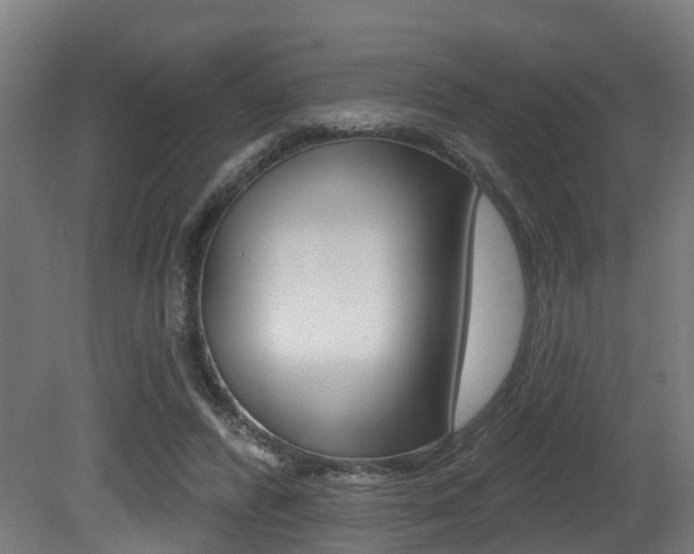 X0000081320400200701111034