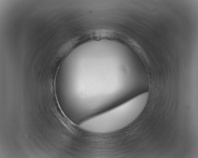 X0000081320401200701111034