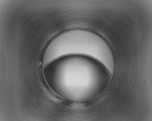 X0000081320403200701111034