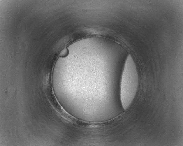 X0000081320406200701111034
