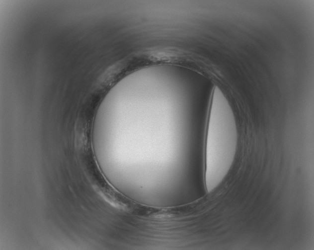 X0000081320408200701111034