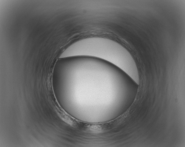 X0000081320409200701111034