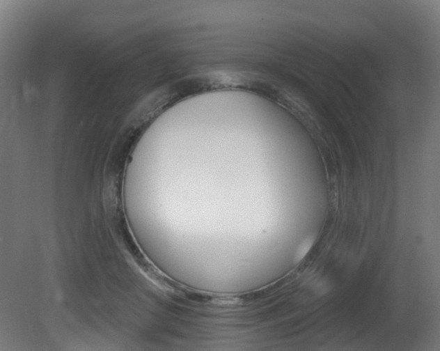 X0000081320410200701111034