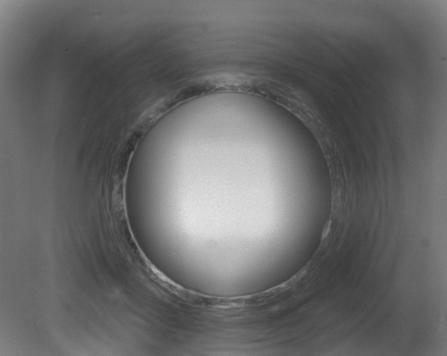 X0000081320411200701111034