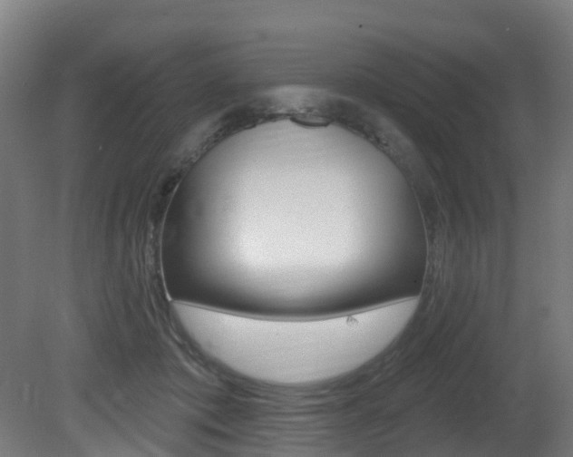 X0000081320413200701111034