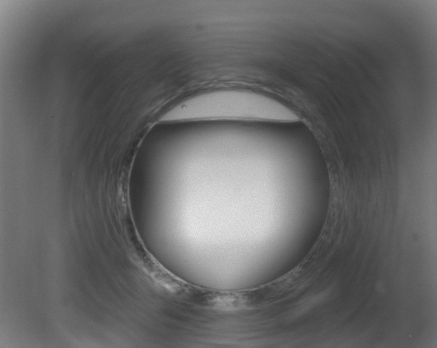 X0000081320415200701111034