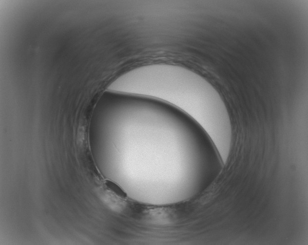 X0000081320417200701111034