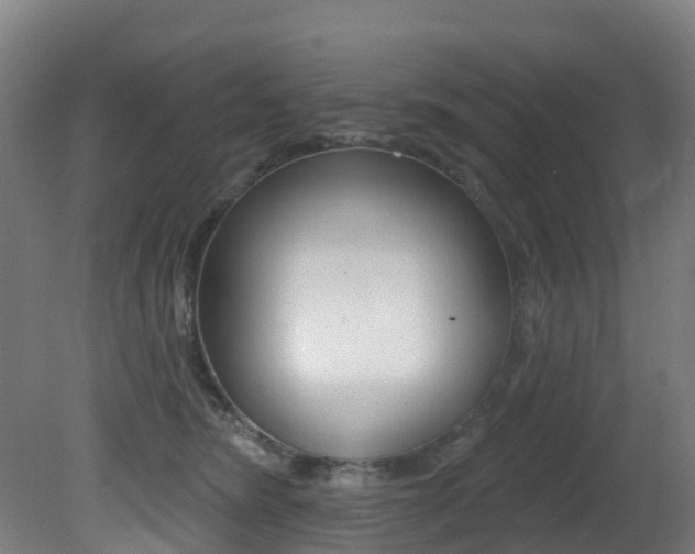 X0000081320420200701111034