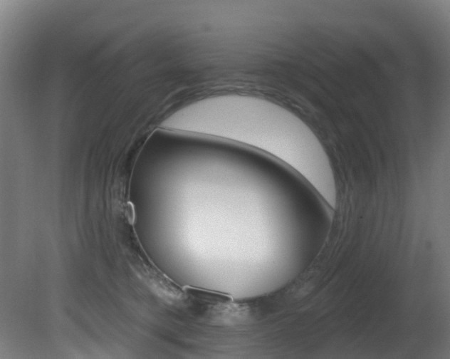 X0000081320421200701111034