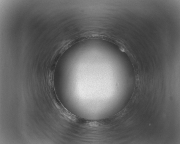 X0000081320423200701111033