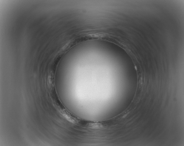 X0000081320424200701111033