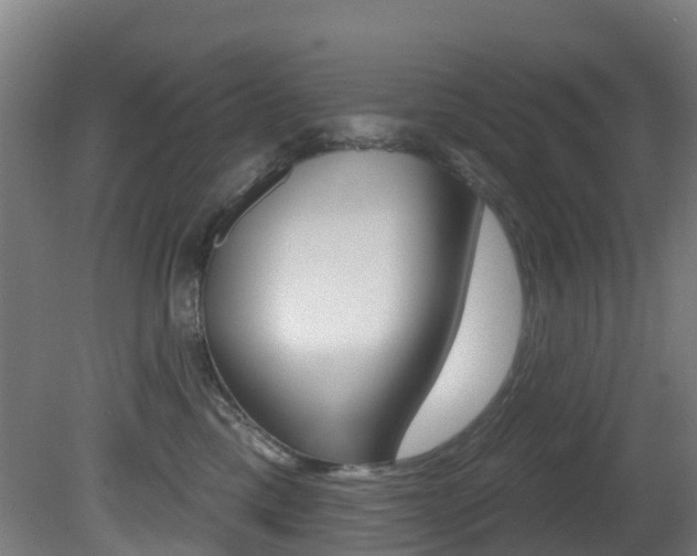 X0000081320425200701111033