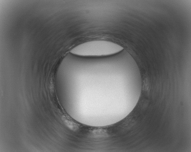 X0000081320426200701111033