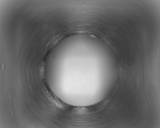 X0000081320427200701111033