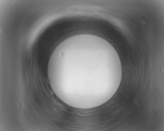 X0000081320431200701111033