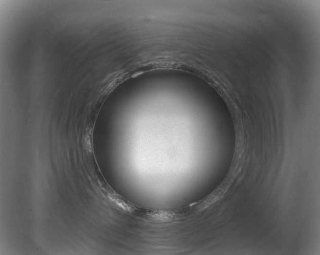 X0000081320432200701111033