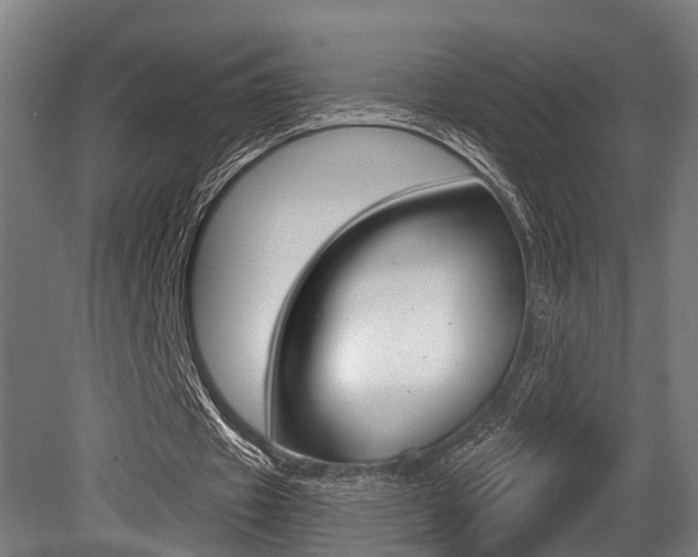 X0000081320433200701111033