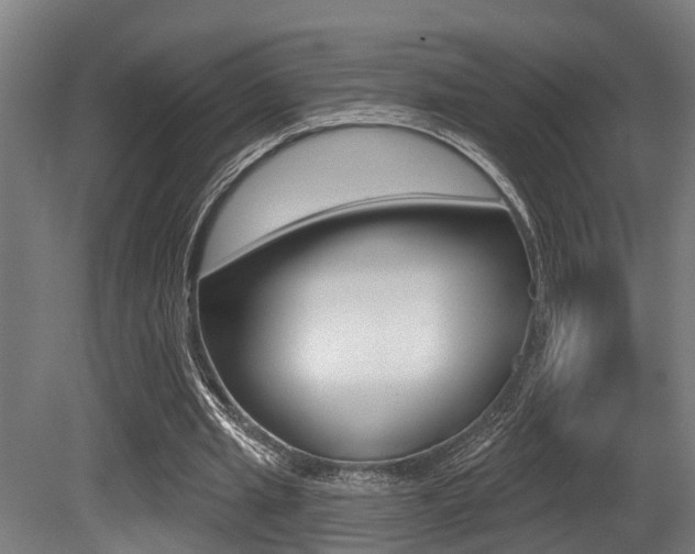 X0000081320437200701111033