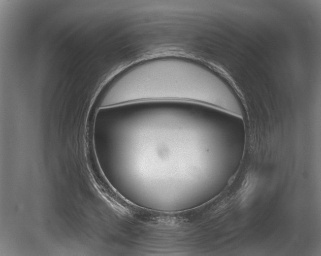 X0000081320439200701111033