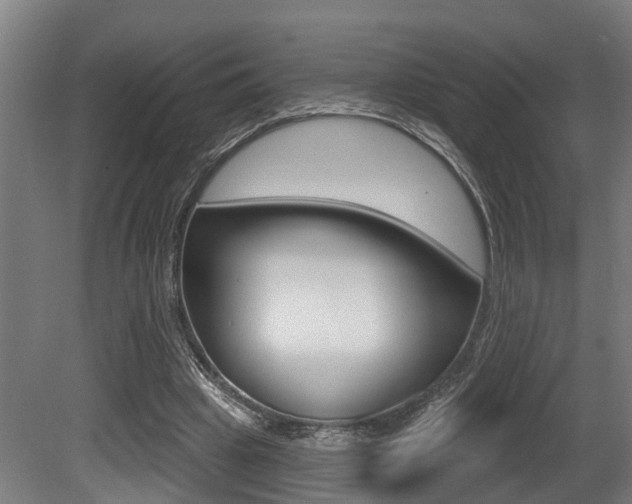 X0000081320441200701111033