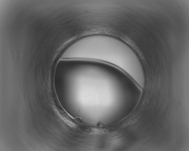 X0000081320442200701111033