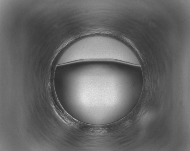 X0000081320443200701111033