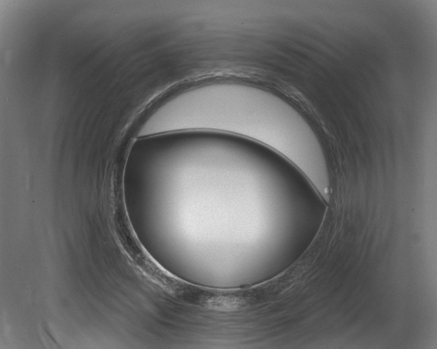 X0000081320444200701111033
