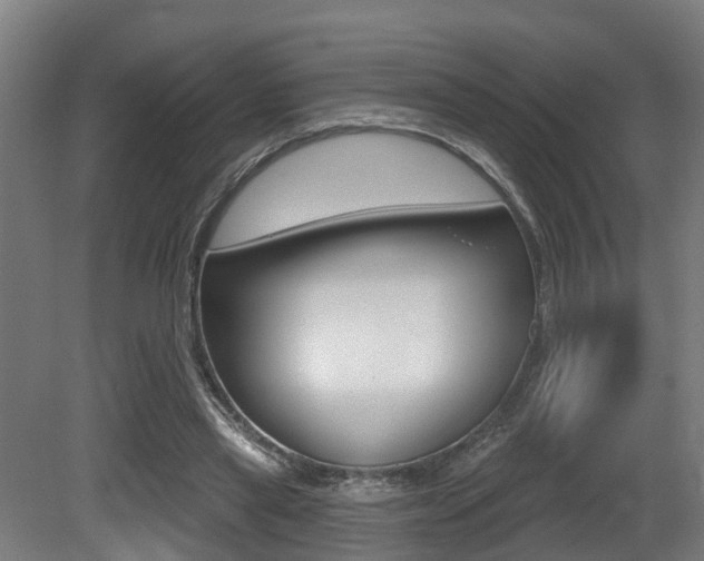 X0000081320445200701111033