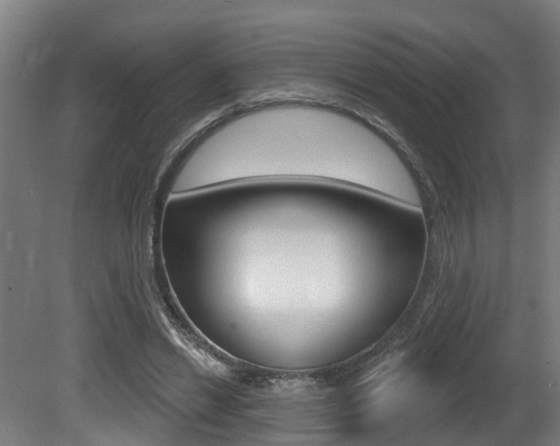 X0000081320446200701111033