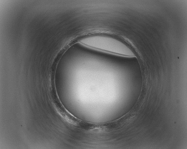 X0000081320447200701111033
